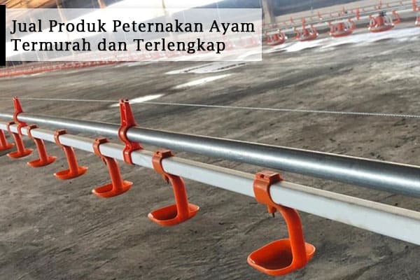Jual-Produk-Peternakan-Ayam-Termurah-dan-Terlengkap