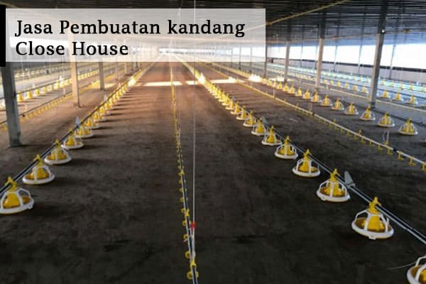 jasa-pembuatan-kandang-close-house
